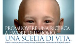 materiale_img_19.jpg