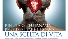 materiale_img_21.jpg