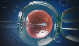 cellula