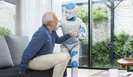 ROMEO-ROBOT-1