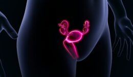 Utero-1-e1563290787154-640×320-1