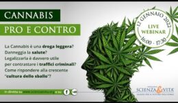 hai-perso-levento-cannabis-pro-e