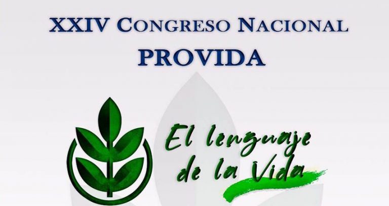 provida-1-768×408