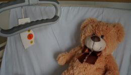teddy