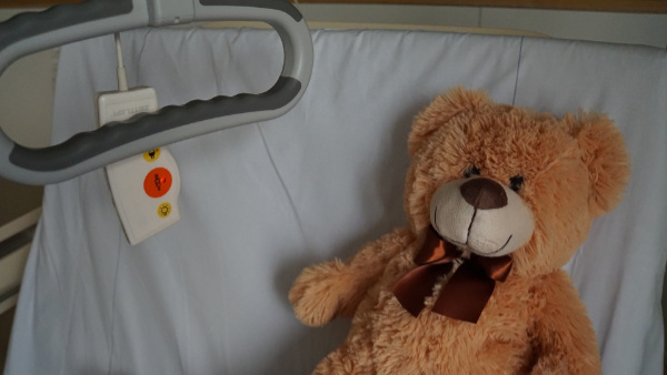 teddy